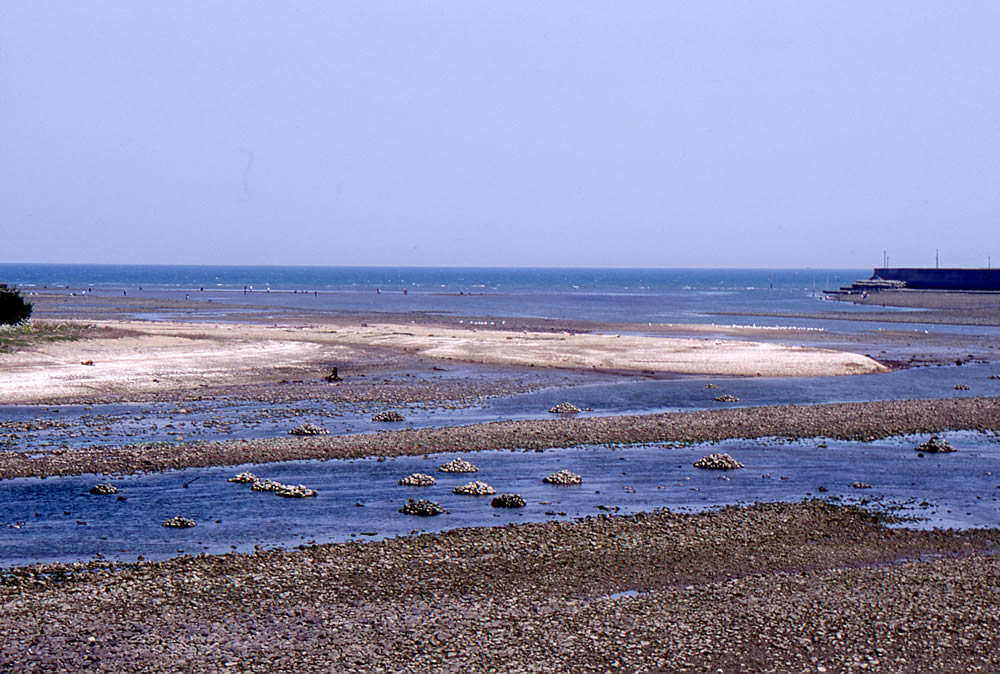 城井川河口の石積みヤナ漁